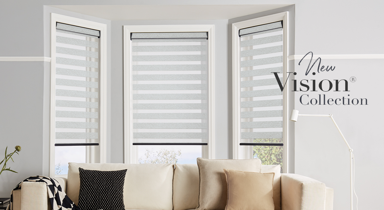 Vision Window blinds
